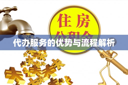 平阴代办服务的优势与流程解析