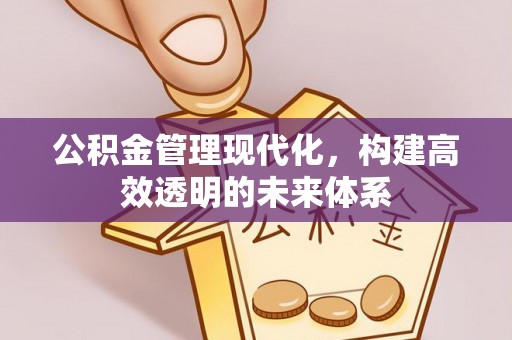 平阴公积金管理现代化，构建高效透明的未来体系