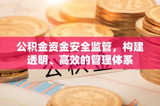 平阴公积金资金安全监管，构建透明、高效的管理体系