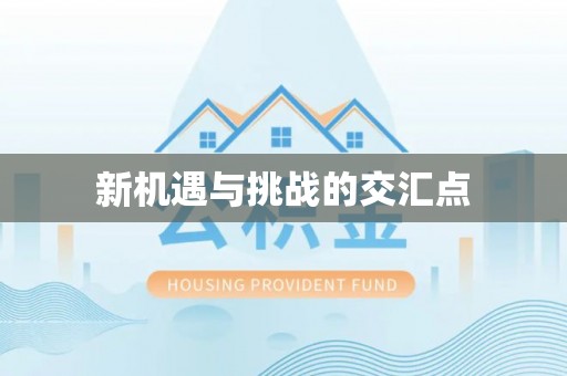 平阴新机遇与挑战的交汇点