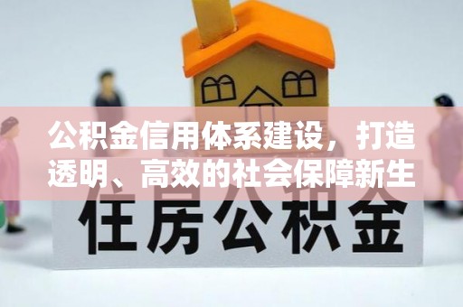 平阴公积金信用体系建设，打造透明、高效的社会保障新生态