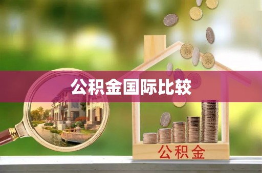 平阴公积金国际比较