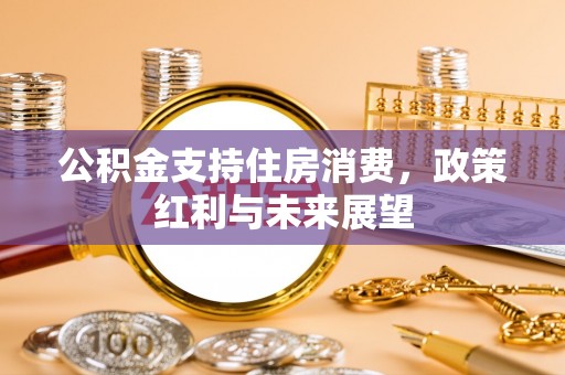 平阴公积金支持住房消费，政策红利与未来展望