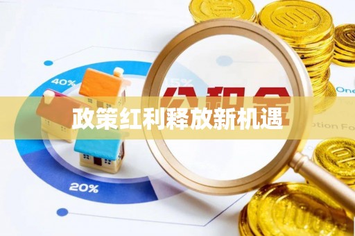 平阴政策红利释放新机遇