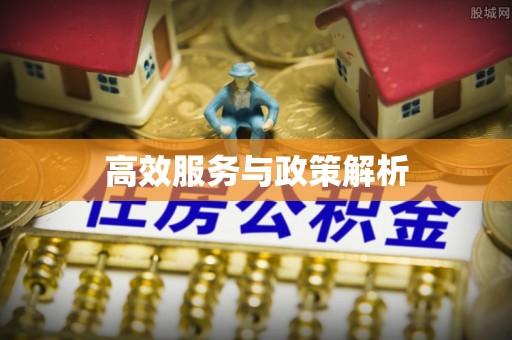 平阴高效服务与政策解析