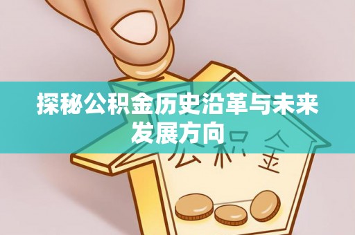 平阴探秘公积金历史沿革与未来发展方向