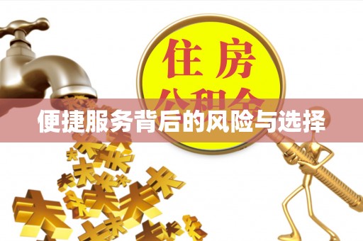 平阴便捷服务背后的风险与选择