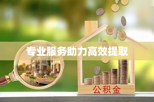 平阴专业服务助力高效提取