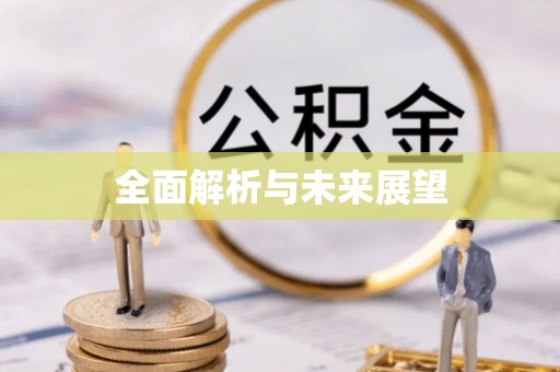 平阴全面解析与未来展望